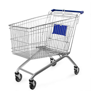 Empty Shopping Cart